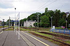 min 427 17.jpg